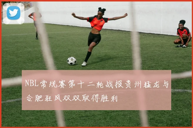 NBL常规赛第十二轮战报贵州猛龙与合肥狂风双双取得胜利